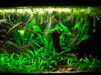 Nov 22-16 (2).webp