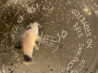 9D8EF018-96BF-4BC3-8C4D-7B280DB80B2D.webp