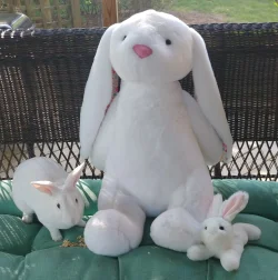 20200412_090809~2.webp
