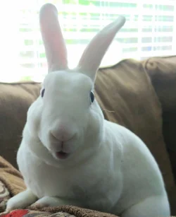 20200424_100450_HDR~5.webp