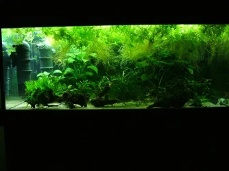 180 litre.webp 180 litre.webp