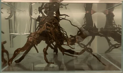 tank scape 1.webp