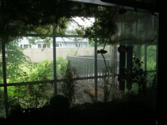 GEDC1409.JPG