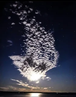 E4058F06-2528-4160-A178-33FE6E6B19C3.webp