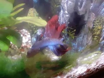 20200706_145234.webp