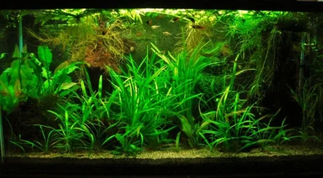 33g Jan 4-12.webp