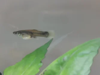 IMG_20200711_142638.webp