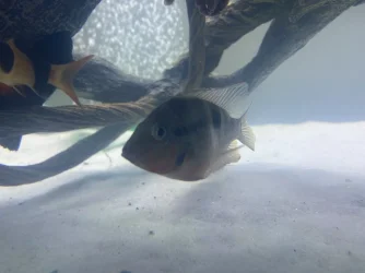 82482AC3-B637-4DBE-B016-7DF0599886D9.webp
