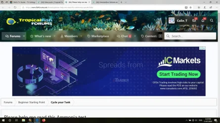 TFF repeating add.webp