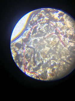 AEC61091-32CA-4EF2-A869-F6FF0D8FCAB3.jpeg
