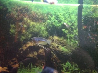 image.webp