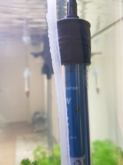 20200728_114219.jpg