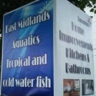 EastMidlandsAquatics