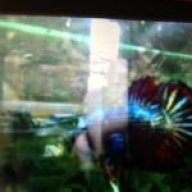 SpinnySuppy
