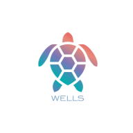 Wells
