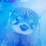 otterblue