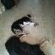 DMasker