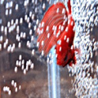 aquazombie