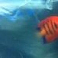 FishAreFriendsNotFood10
