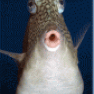 mdohanl