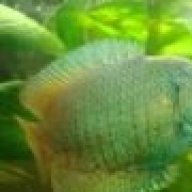 neontank