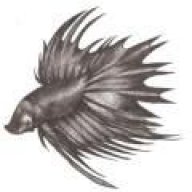 Rixter
