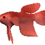 pablothebetta