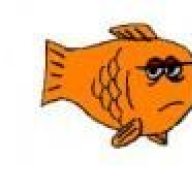 Tropical Fish Forums