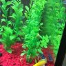 Fishinmo