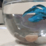 Tumanita