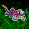 AquaViva