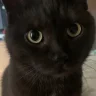 Aerithor
