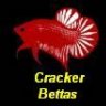 _cRaCkEr_