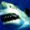OPENWATER