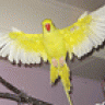 Chiquita