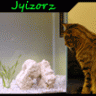 Jyizorz