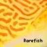 rarefish