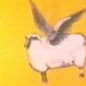 FlyingSheep