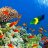 FishDude15423123