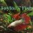 Taylor’s Fish