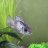 Fishkeeper123