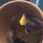 justanotherbloodparrot