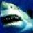 OPENWATER