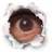 cmfoggy