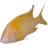 cichlid-breader