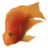 LadyniteDaFishLover