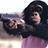 Chimp