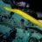 trumpetfish