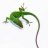 reptileman