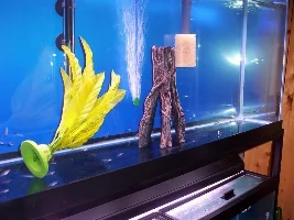 Babies first day in the 33